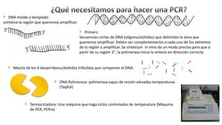 † DNA molde o templado:
contiene la región que queremos amplificar.
† Primers:
Secuencias cortas de DNA (oligonucleótidos) que delimitan la zona que
queremos amplificar. Deben ser complementarios a cada uno de los extremos
de la región a amplificar. Se sintetizan in vitro de un modo preciso para que a
partir de su región 3‟, la polimerasa inicie la síntesis en dirección correcta
† Mezcla de los 4 deoxirribonucleótidos trifosfato que componen el DNA.
† DNA Polimerasa: polimerasa capaz de resistir elevadas temperaturas
(TaqPol)
† Termocicladora: Una máquina que haga ciclos controlados de temperatura (Máquina
de PCR, PCRra)
 