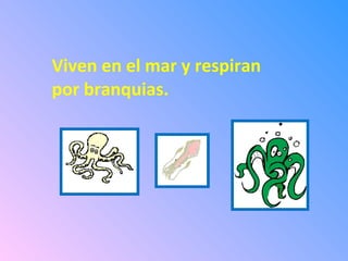 Viven en el mar y respiran
por branquias.