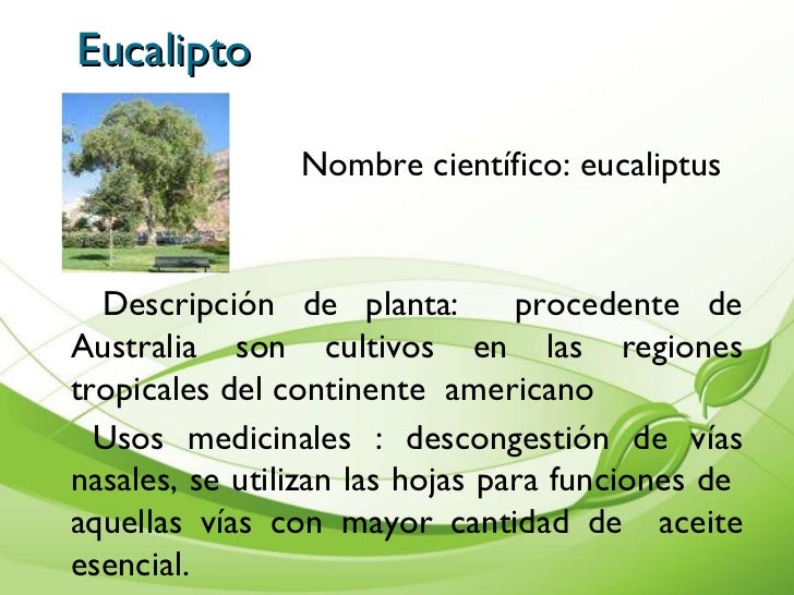 Presentacion De Plantas Medicinales Cartilla