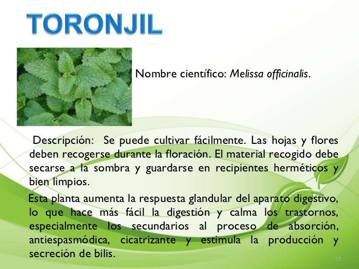 Presentacion De Plantas Medicinales Cartilla