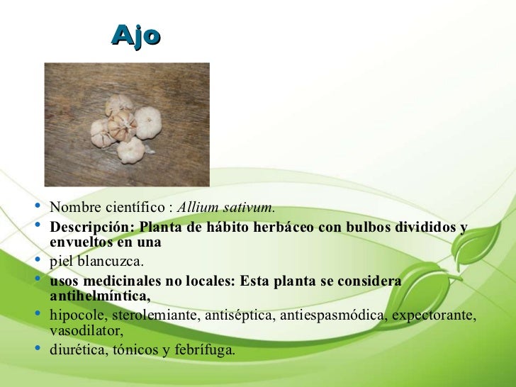 Presentacion De Plantas Medicinales Cartilla