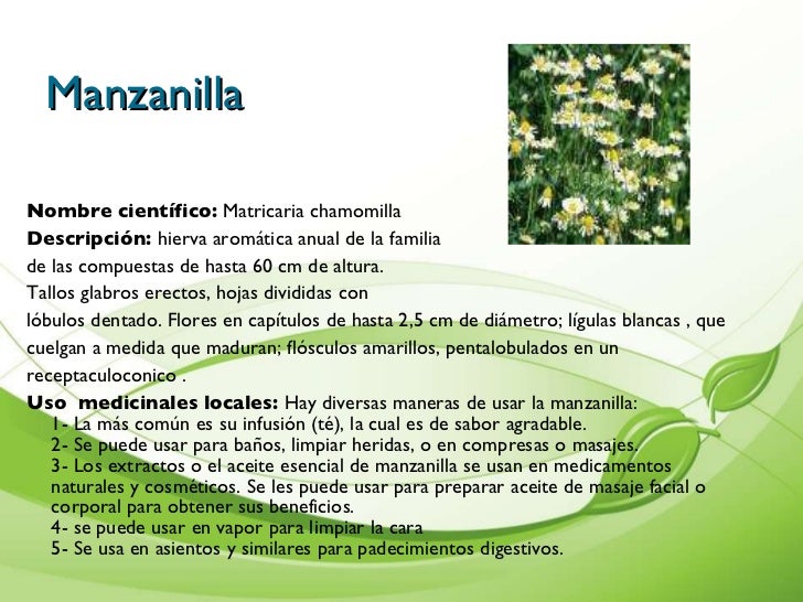 Presentacion De Plantas Medicinales Cartilla