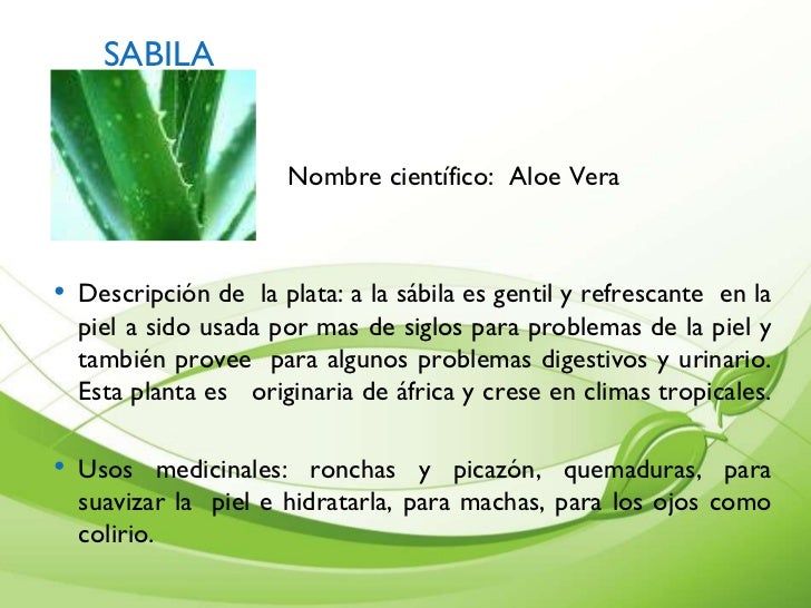 Presentacion De Plantas Medicinales Cartilla