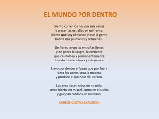 Siento correr los ríos por mis venas
y crecer las estrellas en mi frente.
Siento que soy el mundo y que la gente
habita mis pulmones y colmenas .
De flores tengo las entrañas llenas
y de peces la sangre, la corriente
que caudalosa y permanentemente
inunda mis canciones y mis penas.
Llevo por dentro el fuego que por fuera
dora los panes, seca la madera
y produce el incendio del verano.
Las aves hacen nidos en mi pelo,
crece hierba en mi piel, como en el suelo,
y galopan caballos en mi mano.
CARLOS CASTRO SAAVEDRA
 