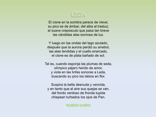 El cisne en la sombra parece de nieve;
su pico es de ámbar, del alba al trasluz;
el suave crepúsculo que pasa tan breve
las cándidas alas sonrosa de luz.
Y luego en las ondas del lago azulado,
después que la aurora perdió su arrebol,
las alas tendidas y el cuello enarcado,
el cisne es de plata bañado de sol.
Tal es, cuando esponja las plumas de seda,
olímpico pájaro herido de amor,
y viola en las linfas sonoras a Leda,
buscando su pico los labios en flor.
Suspira la bella desnuda y vencida,
y en tanto que al aire sus quejas se van,
del fondo verdoso de fronda tupida
chispean turbados los ojos de Pan.
RUBEN DARÍO
 