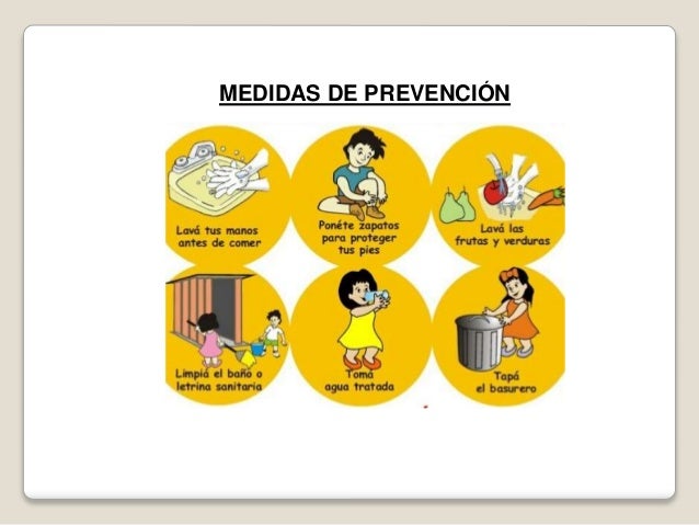 El medio de las lombrices al gatito