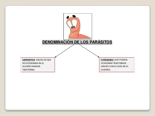 El medio de los parásitos y los helmintos