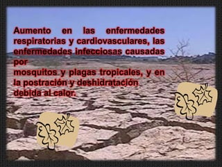 Aumento en las enfermedades
respiratorias y cardiovasculares, las
enfermedades infecciosas causadas
por
mosquitos y plagas tropicales, y en
la postración y deshidratación
debida al calor.
 