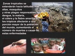 Zonas tropicales se
extenderán hacia latitudes más
altas, mosquitos
y otras plagas responsables del
dengue, la malaria,
el cólera y la fiebre amarilla en
los trópicos afectarán a una
porción mayor de la población
del mundo, aumentando el
número de muertes a causa de
estas enfermedades
 