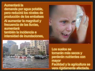 Aumentará la
demanda por agua potable,
pero reducirá los niveles de
producción de los embalses
Al aumentar la magnitud y
frecuencia de las lluvias,
aumentará
también la incidencia e
intensidad de inundaciones,



                               Los suelos se
                               tornarán más secos y
                               perderán nutrientes con
                               mayor
                               Facilidad y la agricultura se
                               vera rígidamente afectada.
 