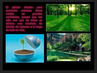 El plantar árboles para
aumentar nuestras áreas
verdes       en     grandes
cantidades, puesto que tan
sólo con uno de éstos se
elimina una tonelada de
dióxido de carbono a lo largo
de toda su vida.
 