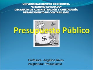 Profesora: Angélica Rivas
Asignatura: Presupuesto
                            1
 
