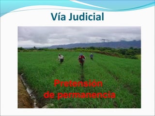 Vía Judicial
Pretensión
de permanencia
 
