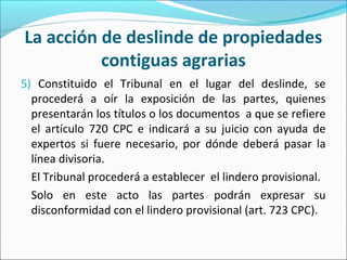 La acción de deslinde de propiedades
contiguas agrarias
5) Constituido el Tribunal en el lugar del deslinde, se
procederá a oír la exposición de las partes, quienes
presentarán los títulos o los documentos a que se refiere
el artículo 720 CPC e indicará a su juicio con ayuda de
expertos si fuere necesario, por dónde deberá pasar la
línea divisoria.
El Tribunal procederá a establecer el lindero provisional.
Solo en este acto las partes podrán expresar su
disconformidad con el lindero provisional (art. 723 CPC).
 