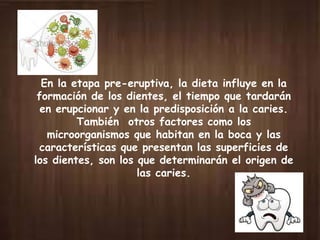En la etapa pre-eruptiva, la dieta influye en la
formación de los dientes, el tiempo que tardarán
en erupcionar y en la predisposición a la caries.
También otros factores como los
microorganismos que habitan en la boca y las
características que presentan las superficies de
los dientes, son los que determinarán el origen de
las caries.
 
