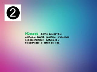 Húesped – diente susceptible –
anatomía dental, genética, problemas
socioeconómicos, culturales y
relacionados al estilo de vida.
 
