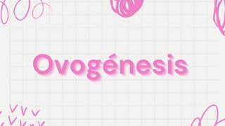 Ovogénesis
Ovogénesis
Ovogénesis
 