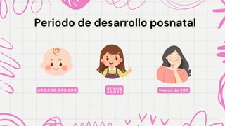 Periodo de desarrollo posnatal
Periodo de desarrollo posnatal
600,000-800,000 Atresia
40,000 Menos de 500
 