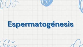 Espermatogénesis
Espermatogénesis
Espermatogénesis
 