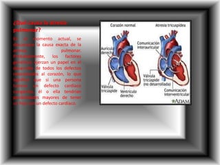 ¿Qué causa la atresia
pulmonar?
En el momento actual, se
desconoce la causa exacta de la
atresia pulmonar.
Probablemente, los factores
genéticos ejerzan un papel en el
desarrollo de todos los defectos
relacionados al corazón, lo que
significa que si una persona
tuviese un defecto cardíaco
congénito, él o ella tendrían
posibilidades mayores de tener
un hijo con un defecto cardíaco.
 