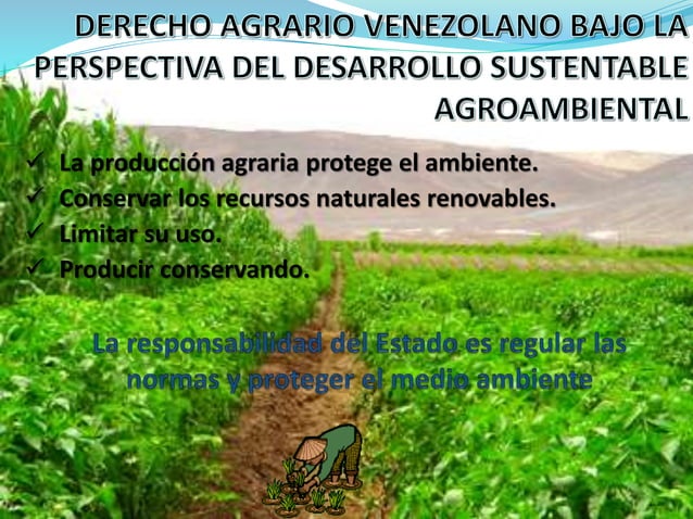 Presentación Derecho Agrario y Ambiente en Venezuela | PPT