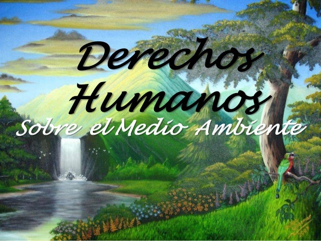 Imagen relacionada