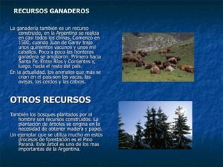 RECURSOS GANADEROS La ganadería también es un recurso construido, en la Argentina se realiza en casi todos los climas. Comenzó en 1580, cuando Juan de Garay trajo unos quinientos vacunos y unos mil caballos. Poco a poco las fronteras ganadera se ampliaron. Primero hacia Santa Fe, Entre Ríos y Corrientes y, luego, hacia el resto del país. En la actualidad, los animales que más se crían en el país son las vacas, las ovejas, los cerdos y las cabras. OTROS RECURSOS También los bosques plantados por el hombre son recursos construidos. La plantación de árboles se origina en la necesidad de obtener madera y papel. Un ejemplar que se utiliza mucho en estos procesos de forestación es el Pino Paraná. Este árbol es uno de los mas importantes de la Argentina. 