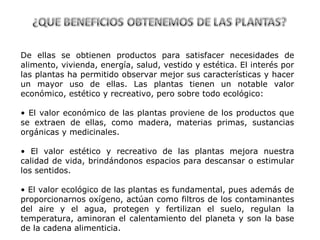 De ellas se obtienen productos para satisfacer necesidades de
alimento, vivienda, energía, salud, vestido y estética. El interés por
las plantas ha permitido observar mejor sus características y hacer
un mayor uso de ellas. Las plantas tienen un notable valor
económico, estético y recreativo, pero sobre todo ecológico:
• El valor económico de las plantas proviene de los productos que
se extraen de ellas, como madera, materias primas, sustancias
orgánicas y medicinales.
• El valor estético y recreativo de las plantas mejora nuestra
calidad de vida, brindándonos espacios para descansar o estimular
los sentidos.
• El valor ecológico de las plantas es fundamental, pues además de
proporcionarnos oxígeno, actúan como filtros de los contaminantes
del aire y el agua, protegen y fertilizan el suelo, regulan la
temperatura, aminoran el calentamiento del planeta y son la base
de la cadena alimenticia.

 