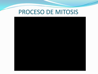 PROCESO DE MITOSIS

 