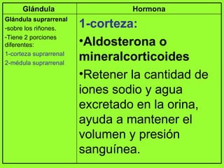 1-corteza:   Aldosterona o mineralcorticoides Retener la cantidad de iones sodio y agua excretado en la orina, ayuda a mantener el volumen y presión sanguínea.   Glándula suprarrenal sobre los riñones.   Tiene 2 porciones diferentes: 1-corteza suprarrenal 2-médula suprarrenal Hormona Glándula  