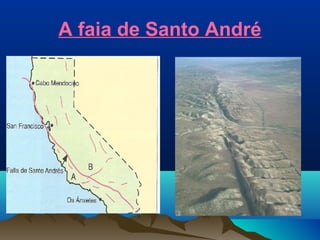 A faia de Santo André
 