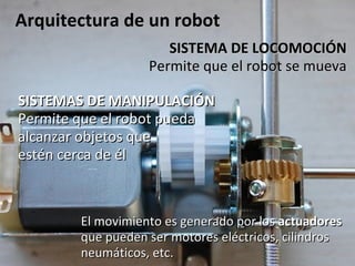 Arquitectura de un robot SISTEMA DE LOCOMOCIÓN Permite que el robot se mueva SISTEMAS DE MANIPULACIÓN Permite que el robot pueda  alcanzar objetos que estén cerca de él El movimiento es generado por los  actuadores  que pueden ser motores eléctricos, cilindros neumáticos, etc. 