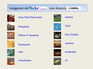 Andy Field (Hubmedia)   linkogecko Dilshan R Jayakody Pearlzenith watz chrischesher Z303 Erik Charlton yewenyi purpleslog j-fi bartheq Imágenes de  con licencia 