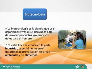 Biotecnología


La biotecnología es la ciencia que usa
organismos vivos o sus derivados para
desarrollar productos y/o procesos
útiles para el hombre.

Nuestra línea se enfoca en la parte
industrial, especialmente en el
desarrollo de proyectos en las áreas
ambiental y de alimentos.
 