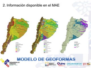 2. Información disponible en el MAE
 