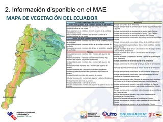 2. Información disponible en el MAE
MAPA DE VEGETACIÓN DEL ECUADOR
                                    ECOSISTEMAS MAPA DE VEGETACION                                                   Amazonía
                        Sector norte y centro de la cordillera oriental de los Andes      Bosque con bambú de la Amazonía
                     Bosque siempreverde montano bajo del norte y centro de la            Bosque siempreverde de penillanura del sector Aguarico-Putumayo-
                     cordillera oriental de los Andes                                     Caquetá
                     Bosque siempreverde montano del norte y centro de la cordillera      Bosque siempreverde de penillanura del sector Napo-Curaray
                     oriental de los Andes                                                Bosque siempreverde de penillanura del sector Tigre-Pastaza
                     Bosque siempreverde montano alto del norte y centro de la            Bosque siempreverde de llanura del abanico del Pastaza
                     cordillera oriental de los Andes                                     Bosque siempreverde piemontano del norte y centro de la cordillera
                               Sector sur de la cordillera oriental de los Andes          oriental
                     Bosque siempreverde montano bajo del sur de la cordillera oriental
                     de los Andes                                                         Bosque siempreverde piemontano del sur de la cordillera oriental
                     Bosque siempreverde montano del sur de la cordillera oriental de      Bosque semideciduo piemontano del sur de la cordillera oriental,
                     los Andes                                                            distrito Zumba
                     Bosque siempreverde montano alto del sur de la cordillera oriental
                                                                                          Bosque inundable de la llanura aluvial de los ríos de origen andino
                     de los Andes
                                                                                          y de cordilleras amazónicas
                                                    Páramos                               Bosque inundable de la llanura aluvial de los ríos de origen
                     Bosque siempreverde montano alto y montano alto superior de          amazónico
                     páramo                                                               Bosque inundable y vegetación lacustre - riparia de aguas negras
                     Rosetal caulescente y herbazal siempreverde montano alto y
                                                                                          de la Amazonía
                     montano alto superior de páramo (frailejones)
                                                                                          Bosque pantanoso de la llanura aluvial de la Amazonía
                     Herbazal bambusoide montano alto y montano alto superior de
                     páramo                                                               Bosque pantanoso de palmas de la llanura aluvial de la Amazonía
                     Herbazal inundado montano alto y montano alto superior de
                     páramo                                                               Herbazal lacustre-pantanoso de la llanura aluvial de la Amazonía
                     Herbazal montano alto y montano alto superior de páramo
                     Herbazal y matorral montano alto y montano alto superior de          Bosque siempreverde piemontano de las cordilleras amazónicas
                     páramo
                     Herbazal húmedo montano alto superior de páramo                      Bosque siempreverde piemontano sobre afloramientos de roca
                                                                                          caliza de las cordilleras amazónicas
                     Arbustal siempreverde montano alto superior y subnival de páramo
                                                                                      Bosque siempreverde sobre mesetas de areniscas de la cordillera
                     Herbazal húmedo subnival de páramo                               del Cóndor en la Amazonía baja ecuatoriana, distrito Kaputna
                     Herbazal ultrahúmedo subnival de páramo
                     Arbustal siempreverde montano alto superior de páramo del sur de Bosque siempreverde montano bajo de la cordillera de Galeras
                     Ecuador                                                          Bosque siempreverde montano bajo de las cordilleras del Cóndor-
                                                                                      Kutukú
                                                                                      Bosque siempreverde piemontano sobre mesetas de las cordilleras
                                                                                      del Cóndor-Kutukú
                                                                                      Bosque siempreverde montano bajo sobre mesetas de las
                                                                                      cordilleras del Cóndor-Kutukú
                                                                                      Arbustal y herbazal montano de la cordillera del Cóndor
                                                                                      Bosque siempreverde montano sobre mesetas de la cordillera del
                                                                                      Cóndor
                                                                                      Bosque siempreverde montano de la cordillera del Cóndor
 