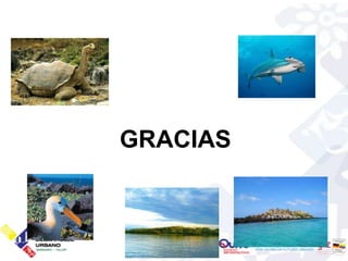 GRACIAS
 