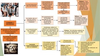 LA NATURALEZA
DE LOS SOCIAL

Los hombres no
formamos en el
espacio social
una horda
indiferenciada de
individuos

sino que estamos
entrelazados en
una compleja red
de grupos
primarios

Nisbert: "Los
problemas de la
sociología son
los que se
refieren a la
naturaleza del
vínculo social"

-relaciones
sociales "cara a
cara"-

HOMBRE Y
SOCIEDAD

El binomio hombre-sociedad
constituye una ecuación
conceptualmente
inseparable

EL PAPEL DE LO
SOCIAL EN EL
DESARROLLO
HUMANO

El surgimiento de
lo societal
constituyó uno de
los grandes
pasos de la
evolución

LA CONCEPCIÓN
DEL HOMBRE
COMO SER
SOCIAL

Aristóteles definió al
hombre como el "animal
político por naturaleza", es
decir, el hombre, fuera de
la polis, "o es más que
hombre, o menos que
hombre"

Lo social forma parte
de nuestra realidad
más íntima e
inmediata.

RASGOS
CARACTERÍST ICOS
DE LO HUMANO

El contexto social
en el que se hace
posible lo humano,
se "completa" con
otras cualidades
añadidas

Las formas
sociales de
agregación
cumplen un papel
adaptador

Wilson: "el
parentesco juega
un papel importante
en la estructura del
grupo como fuerza
generadora de la
sociedad"

Chinoy: "el individuo aislado es
una ficción filosófica", "la vida
humana es vida social".

Proceso de
hominización
Wilson: en los
inicios de la
evolución de los
homínidos, las
fuerzas motrices
fueron presiones
ambientales
externas

capacidad del lenguaje
mayor inteligencia e
idoneidad para el
aprendizaje
capacidad de inhibición de
los impulsos
cualidad creativa
sentido de la libertad

 