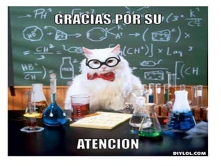 Presentación de sofware