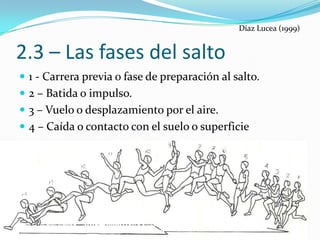Díaz Lucea (1999)


2.3 – Las fases del salto
 1 - Carrera previa o fase de preparación al salto.
 2 – Batida o impulso.
 3 – Vuelo o desplazamiento por el aire.
 4 – Caída o contacto con el suelo o superficie




                                                               19
 