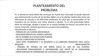 PLANTEAMIENTO DEL
PROBLEMA
En la Vereda las Santa María del municipio de Puerto Asís Putumayo se puede observar
que anteriormente muchas de las familias daban uso a las plantas medicinales como una
alternativa de solución a los diferentes problemas de salud que se presentaban en los
miembros de sus familias sean niños, jóvenes o adultos. Si un niño presentaba fiebre,
dolor de estómago, alergias o brotes en el cuerpo bastaba con buscar una planta de es
cancel, limoncillo, verbena que tenía la cura para este problema.
Actualmente se observa:
- PERDIDA DE LAS PLANTAS MEDICINALES
- DESCONOCIMIENTO DEL PODER CURATIVO
- NO SE SIEMBRA NI CULTIVA ESTAS PLANTAS
- USO DE LA MEDICINA OCCIDENTAL
- BAJO NIVEL ECONÓMICO Y LA DISTANCIA A LA CABECERA MUNICIPAL HACE DIFICIL
ADQUIRIR MEDICAMNETOS
- PÉRDIDA DE INTERES EN LOS NIÑOS HACIA EL USO DE LAS PLANTAS.
- RECUPERAR CONOCIMIENTO E INFORMACIÓN QUE EXISTE DE LA COMUNIDAD
- CREAR ESPACIOS DE APRENDIZAJE EN LA ESCUELA USANDO LAS TIC.
 