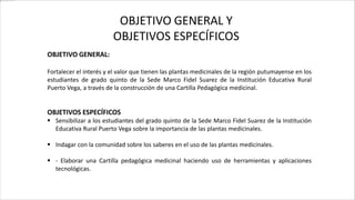 OBJETIVO GENERAL Y
OBJETIVOS ESPECÍFICOS
OBJETIVO GENERAL:
Fortalecer el interés y el valor que tienen las plantas medicinales de la región putumayense en los
estudiantes de grado quinto de la Sede Marco Fidel Suarez de la Institución Educativa Rural
Puerto Vega, a través de la construcción de una Cartilla Pedagógica medicinal.
OBJETIVOS ESPECÍFICOS
 Sensibilizar a los estudiantes del grado quinto de la Sede Marco Fidel Suarez de la Institución
Educativa Rural Puerto Vega sobre la importancia de las plantas medicinales.
 Indagar con la comunidad sobre los saberes en el uso de las plantas medicinales.
 - Elaborar una Cartilla pedagógica medicinal haciendo uso de herramientas y aplicaciones
tecnológicas.
 