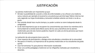 JUSTIFICACIÓN
Las plantas medicinales son importantes ya que:
 Brindan la posibilidad de curación a miles de enfermedades y nos ofrecen una medicina
sana y natural, por ejemplo el escancel es una planta que permite bajar fiebres internas tan
solo cogiendo sus hojas hirviéndolas y tomando la bebida caliente con limón si es de su
gusto.
 Han existido desde hace mucho tiempo y su poder curativo se viene trabajando desde la
antigüedad.
 Es de vital importancia que se recuperen los conocimientos que tienen los miembros de la
Comunidad de la vereda Santa María acerca de los usos y beneficios de las plantas
medicinales para de esta manera poderlos impartir en cada una de las personas que hacen
parte de esta vereda.
La realización de este proyecto tiene como fin:
 Crear espacios de participación y dialogo entre estudiantes y miembros de la comunidad.
 Recuperar el interés y la importancia de las plantas medicinales en los estudiantes de grado
quinto
 Usar herramientas Tic para plasmar información recolectada
 Crear una cartilla pedagógica medicinal con las infografías realizadas por estudiantes y
docentes.
 