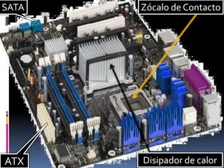 SATA   Zócalo de Contacto




ATX    Disipador de calor
 