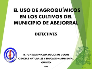 EL USO DE AGROQUÍMICOS
EN LOS CULTIVOS DEL
MUNICIPIO DE ABEJORRAL
DETECTIVES
I.E. FUNDACIÓN CELIA DUQUE DE DUQUE
CIENCIAS NATURALES Y EDUCACIÓN AMBIENTAL
QUINTO
2015
 