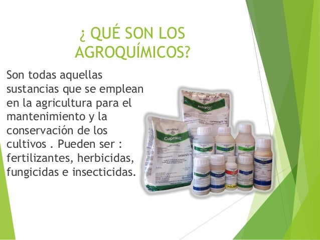 Que ipo de plantas matan los fungicidas