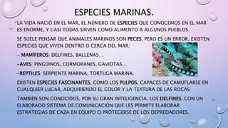 ESPECIES MARINAS.
LA VIDA NACIÓ EN EL MAR, EL NÚMERO DE ESPECIES QUE CONOCEMOS EN EL MAR
ES ENORME, Y CASI TODAS SIRVEN COMO ALIMENTO A ALGUNOS PUEBLOS.
SE SUELE PENSAR QUE ANIMALES MARINOS SON PECES, PERO ES UN ERROR, EXISTEN
ESPECIES QUE VIVEN DENTRO O CERCA DEL MAR;
- MAMÍFEROS: DELFINES, BALLENAS…
-AVES: PINGÜINOS, CORMORANES, GAVIOTAS…
-REPTILES: SERPIENTE MARINA, TORTUGA MARINA.
EXISTEN ESPECIES FASCINANTES, COMO LOS PULPOS, CAPACES DE CAMUFLARSE EN
CUALQUIER LUGAR, ADQUIRIENDO EL COLOR Y LA TEXTURA DE LAS ROCAS
TAMBIÉN SON CONOCIDOS, POR SU GRAN INTELIGENCIA, LOS DELFINES, CON UN
ELABORADO SISTEMA DE COMUNICACIÓN QUE LES PERMITE ELABORAR
ESTRATEGIAS DE CAZA EN EQUIPO O PROTEGERSE DE LOS DEPREDADORES.
 
