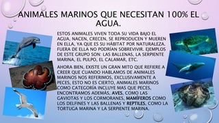 ANIMALES MARINOS QUE NECESITAN 100% EL
AGUA.
ESTOS ANIMALES VIVEN TODA SU VIDA BAJO EL
AGUA, NACEN, CRECEN, SE REPRODUCEN Y MUEREN
EN ELLA, YA QUE ES SU HÁBITAT POR NATURALEZA.
FUERA DE ELLA NO PODRÍAN SOBREVIVIR. EJEMPLOS
DE ESTE GRUPO SON: LAS BALLENAS, LA SERPIENTE
MARINA, EL PULPO, EL CALAMAR, ETC.
AHORA BIEN, EXISTE UN GRAN MITO QUE REFIERE A
CREER QUE CUANDO HABLAMOS DE ANIMALES
MARINOS NOS REFERIMOS, EXCLUSIVAMENTE A
PECES, ESTO NO ES CIERTO, ANIMALES MARINOS
COMO CATEGORÍA INCLUYE MAS QUE PECES,
ENCONTRAMOS ADEMÁS, AVES, COMO LAS
GAVIOTAS Y LOS CORMORANES, MAMÍFEROS COMO
LOS DELFINES Y LAS BALLENAS Y REPTILES, COMO LA
TORTUGA MARINA Y LA SERPIENTE MARINA.
 