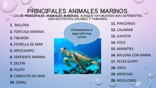 PRINCIPALES ANIMALES MARINOS.
LOS 20 PRINCIPALES ANIMALES MARINOS, AUNQUE HAY MUCHOS MÁS DIFERENTES,
CON DISTINTOS COLORES Y TAMAÑOS.
1. BALLENA
2. TORTUGA MARINA
3. TIBURÓN
4. ESTRELLA DE MAR
5. HIPOCAMPO
6. SERPIENTE MARINA
7. DELFÍN
8. PULPO
9. CABALLITO DE MAR
10. CORAL
11. PINGÜINOS
12. CALAMAR
13. GAVIOTA
14. FOCA
15. MANATIES
16. BALLENA CON BARBA
17. PECES GUPPY
18. ORCA
19. MEDUSAS
20. MEJILLONES
¡Últimamente el
agua está muy
turbia!
 