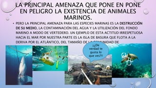 LA PRINCIPAL AMENAZA QUE PONE EN PONE
EN PELIGRO LA EXISTENCIA DE ANIMALES
MARINOS.
• PERO LA PRINCIPAL AMENAZA PARA LAS ESPECIES MARINAS ES LA DESTRUCCIÓN
DE SU MEDIO, LA CONTAMINACIÓN DEL AGUA Y LA UTILIZACIÓN DEL FONDO
MARINO A MODO DE VERTEDERO. UN EJEMPLO DE ESTA ACTITUD IRRESPETUOSA
HACIA EL MAR POR NUESTRA PARTE ES LA ISLA DE BASURA QUE FLOTA A LA
DERIVA POR EL ATLÁNTICO, DEL TAMAÑO DE LA COMUNIDAD DE
EXTREMADURA
¡¡¿De
verdad te
gusta lo
que ves?!!
 